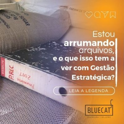 Gestão de Processos na prática